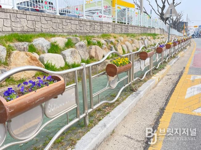 입실초 옆 도로변 난간에 설치된 걸이화분에 비올라가 활짝 피어 봄 분위기를 더하고 있다.