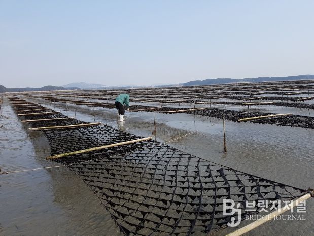 탄소 잡는 ‘검은 반도체’ 저감량 밝힌다
