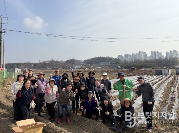 오산시 대원2동 통장협의회, ‘사랑의 감자심기’로 이웃사랑 실천