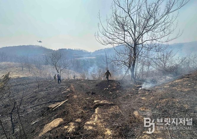 산불 현장 사진(임실군 관촌면 신전리)
