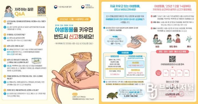 야생동물 한 마리라도 키우면 신고하세요!