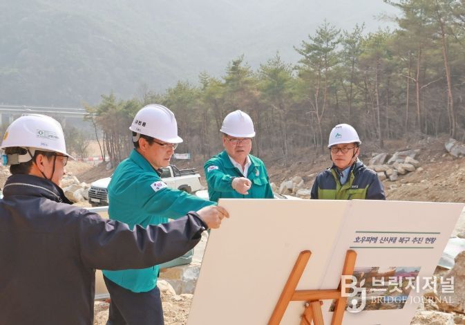 산사태 피해지 복구공사 현장 점검
