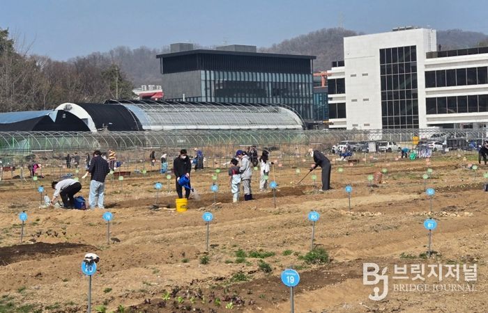 광명시 하안동 밤일마을에 자리한 시민주말농장에서 시민들이 땅을 가꾸고 있다.