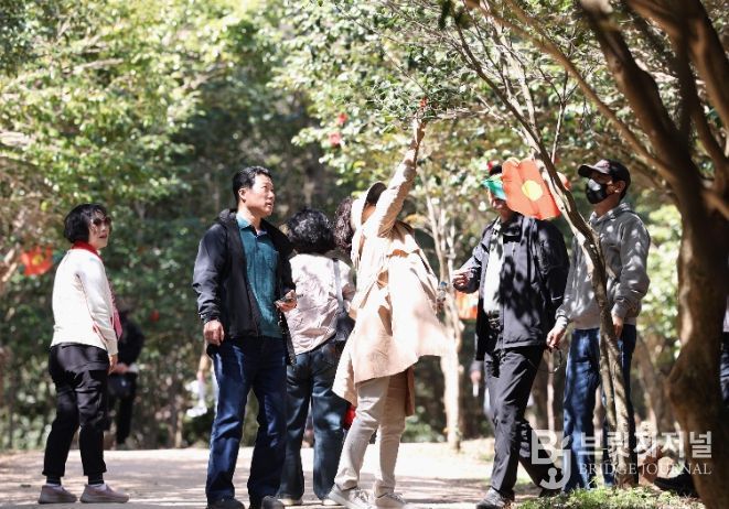 강진 백련사 동백축제 모습.