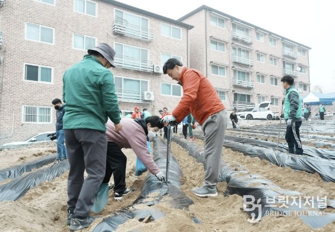 광주시 탄벌동 남녀새마을회, 사랑의 감자 심기 추진