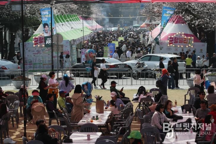 주말 진해군항제, 벚꽃 만개 아래 역대급 인파 기록