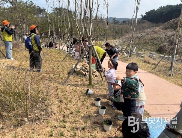 고창군, 어린이집 아이들과 고창그린마루 맥문동 식재
