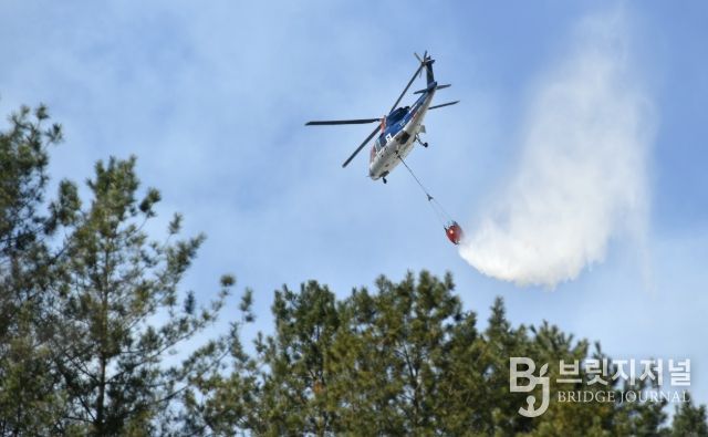 지난 2023년 3월, 화천군청 공무원들이 화천읍 중리 일대에서 발생한 산불 진화를 위해 현장에 투입되고 있다.