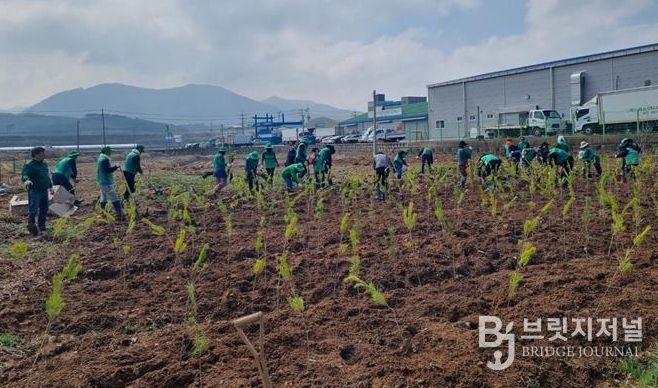 예산읍 궁평리 소나무 식재 활동