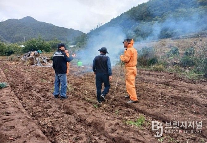 봄철 산림 내 불법행위 집중단속