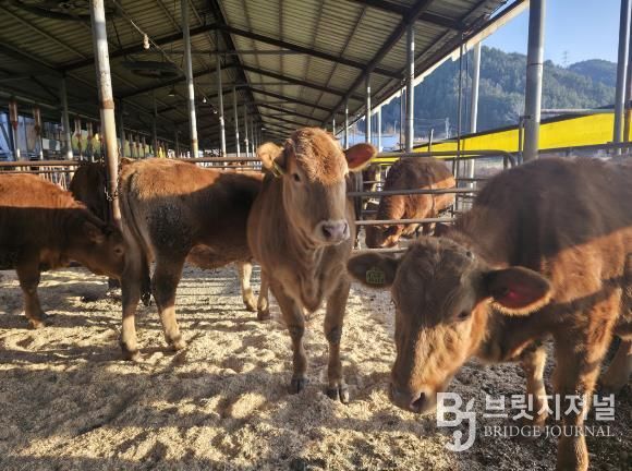 무주군, ‘깨끗한 축산농장’ 발굴 주력 친환경 축산 확산 위해 신청 받아