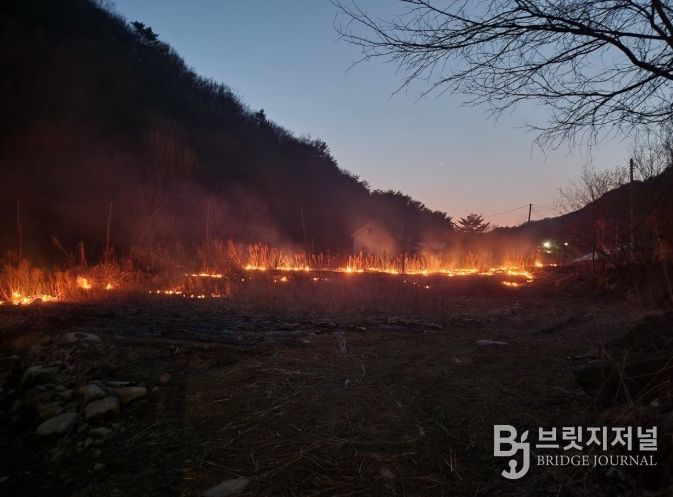 산림 인접 지역 불법 소각 행위 7건 과태료 부과