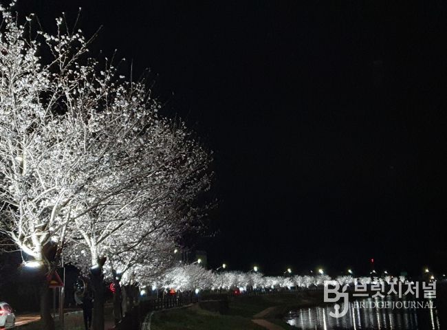 곡성군 옥과천, 빛으로 물들다