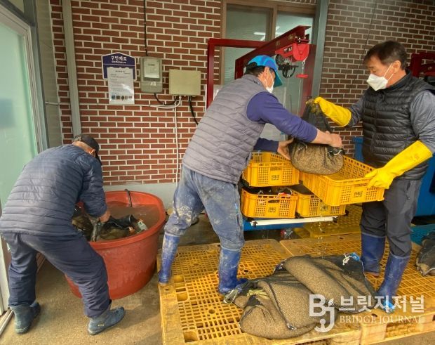 종자전염병 예방으로 고품질 구례 쌀 생산 지원