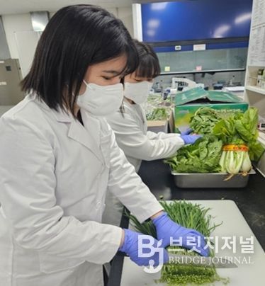 봄철 농산물 안전성‘양호’, 보건환경연구원 검사 결과 99.1% 적합