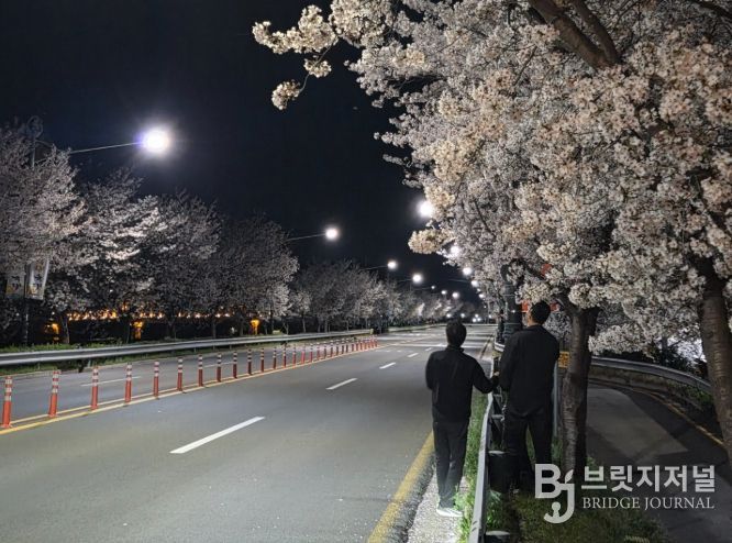 점검반이 미점등 가로등을 점검·수리하고 있다.