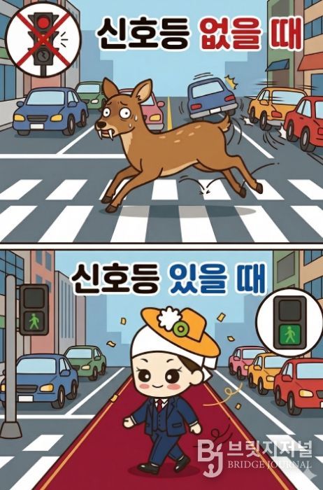 안성시, 교차로 신호체계 전환 통해 시민 안전 강화