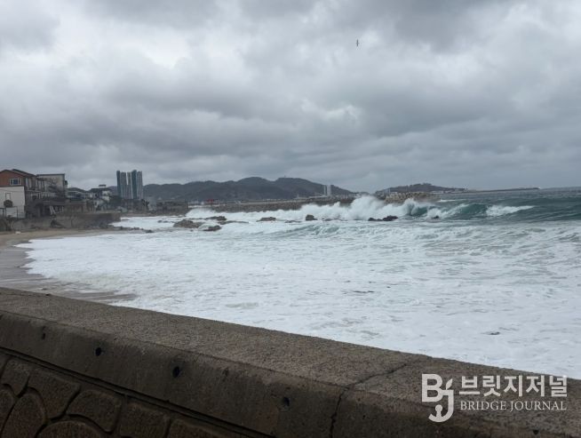 울진해경, 위험예보제「주의보」발령, 너울성 파도 주의