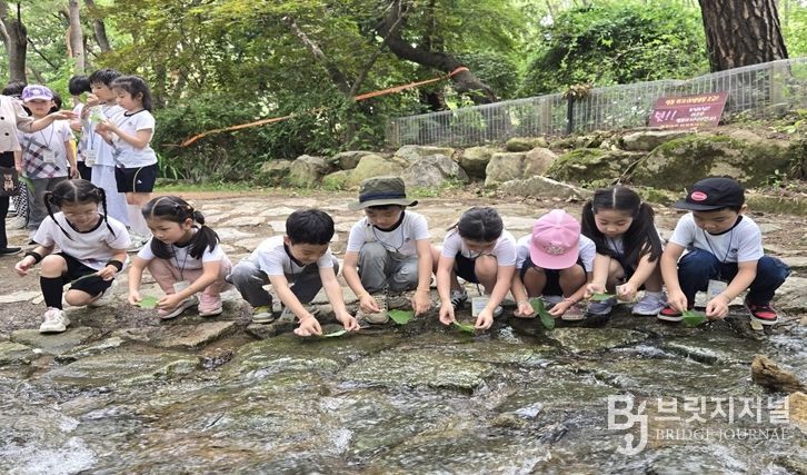 금천구가 2025년 진행한 숲해설 프로그램