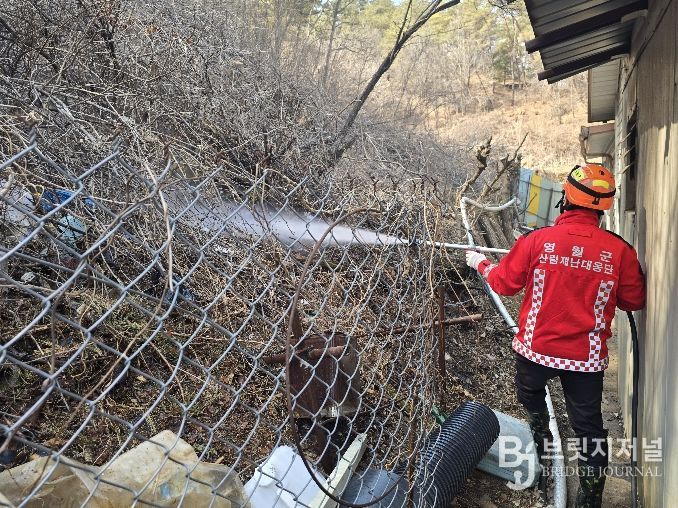 청명·한식 기간 산불방지 총력 대응