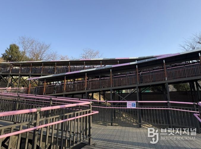 원미산 진달래동산 ‘무장애 데크로드’ 조성 모습