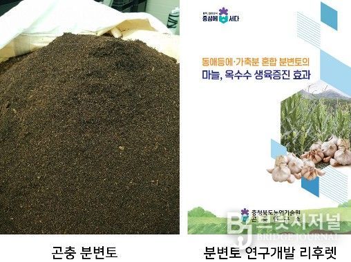 충북농기원, 검증 기술로 곤충 농가 경영비 부담 완화