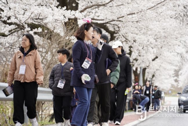 꽃바람 봄내음 가득한 고모산성 야행