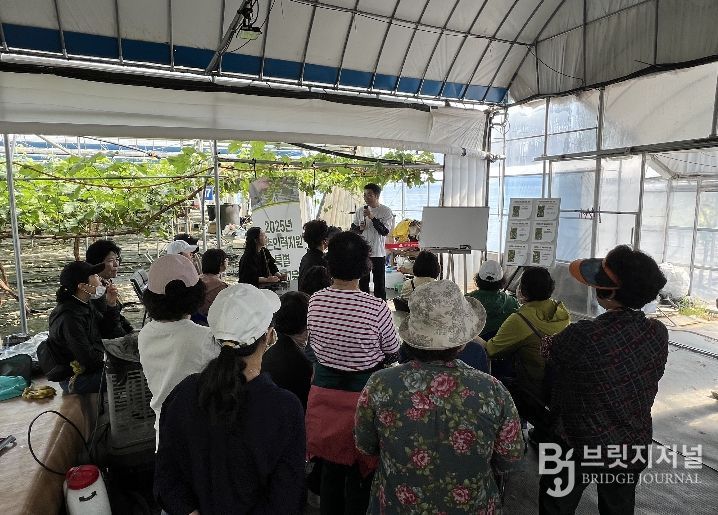 농촌인력지원 특별 기술교육(포도 알 솎기) 신청 접수