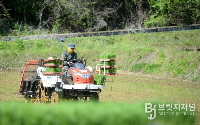 화천군이 지역 농가를 대상으로 농기계 수리 후 발생하는 폐유 수거 사업을 실시한다. 사진은 화천지역에서 이앙기 농기계로 모내기를 하고 있는 모습