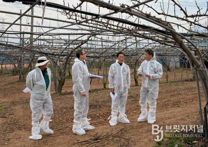 배 냉해 예방 현장점검