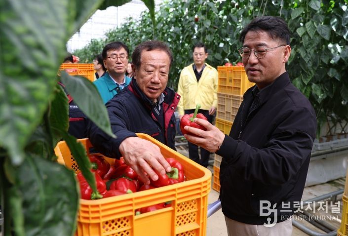파프리카 시설원예 농가 방문