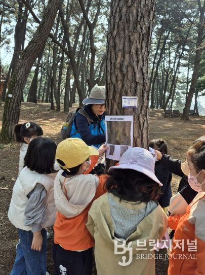 와글와글 움직이는 놀이터, 숲탐험대