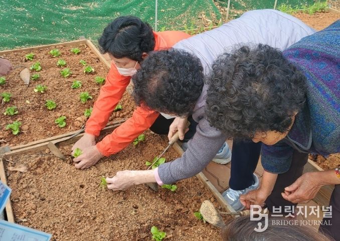 2026년 치유프로그램 운영