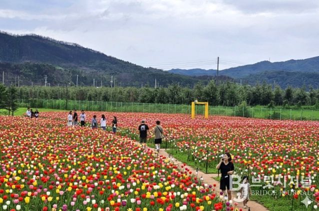 안동포타운, 안동포세대공감페스타 개최