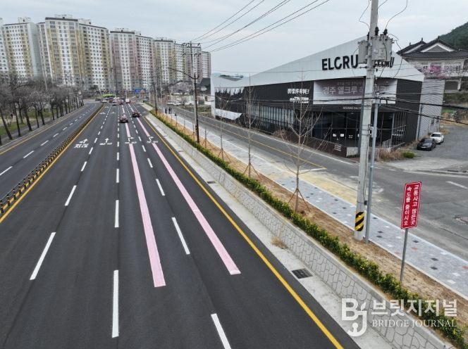 용강네거리 황금빛 품은 가로수길로 새 단장