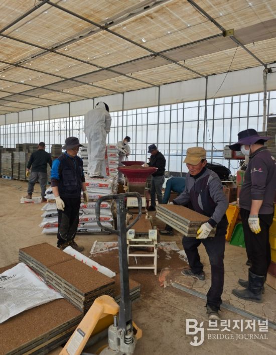 강릉시, 본격 벼 육묘작업 추진