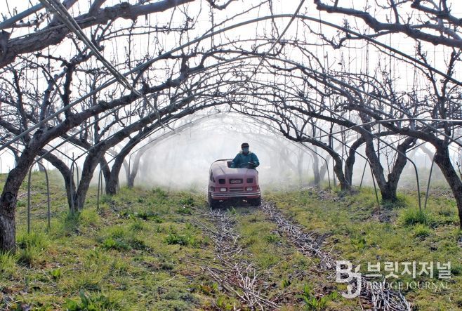 정읍시, 과수화상병 유입 차단 ‘총력’