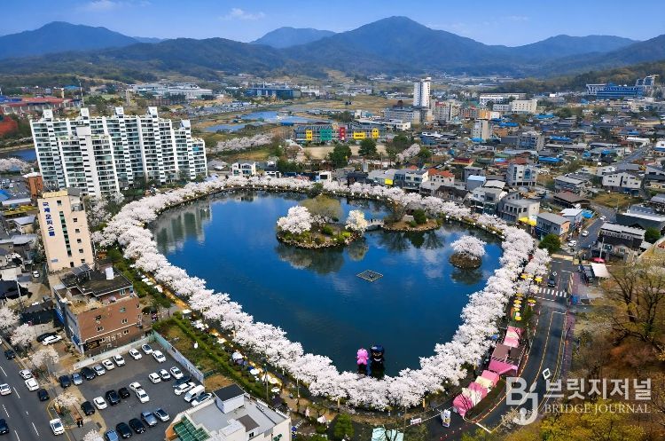 2026 연화지 벚꽃축제