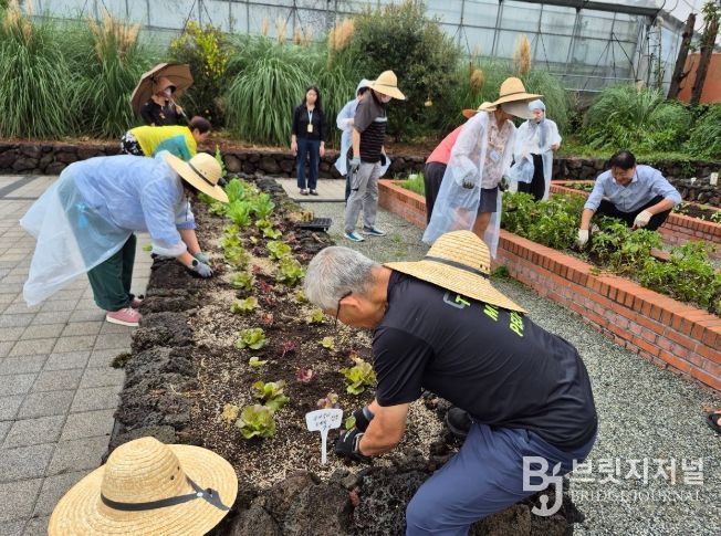 치유 프로그램 운영_2025년