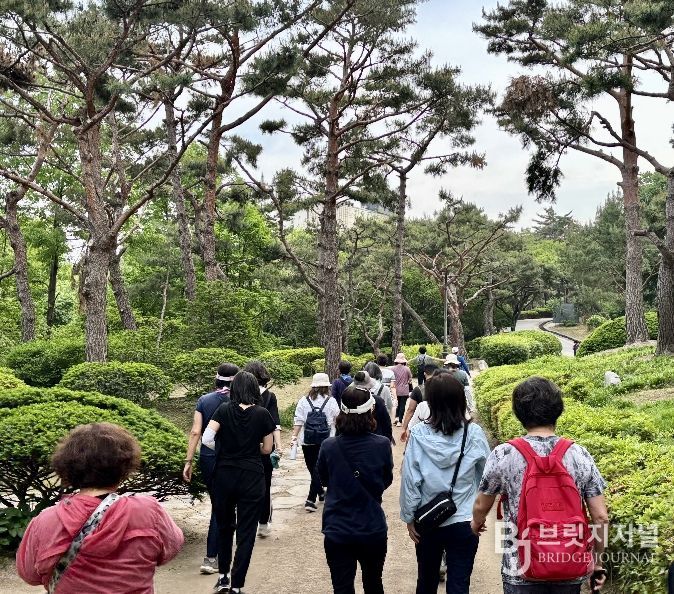 용산구민들이 남산공원 일대를 걸으며 걷기 활동에 참여하고 있다.