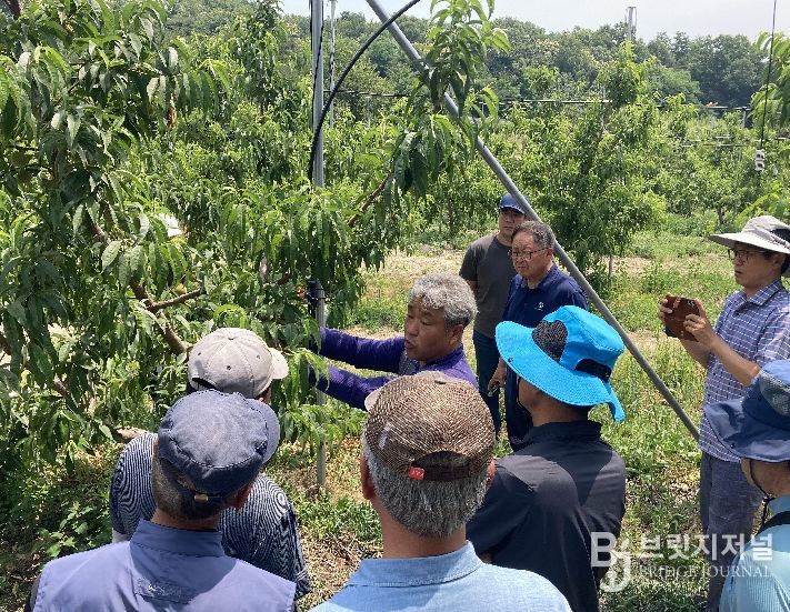 2025년 교육 사진