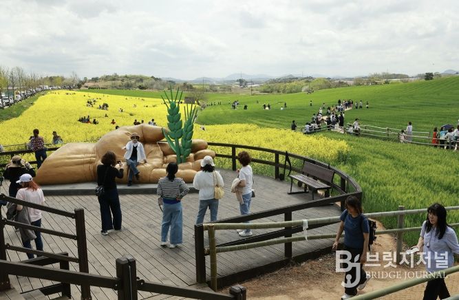 '봄의 기억, 길 위에 남다' 제23회 고창 청보리밭축제, 이번주 토요일(18일) 개막