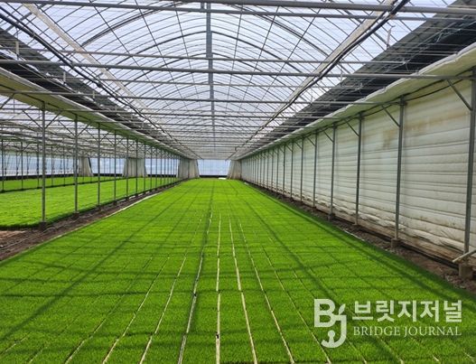 김해시, 벼 육묘상자 처리제 지원