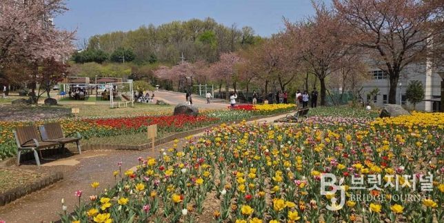 의정부 직동근린공원, 튤립 활짝…쉼과 여유 더한 힐링 공간 조성