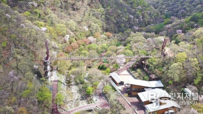 금산산림문화타운