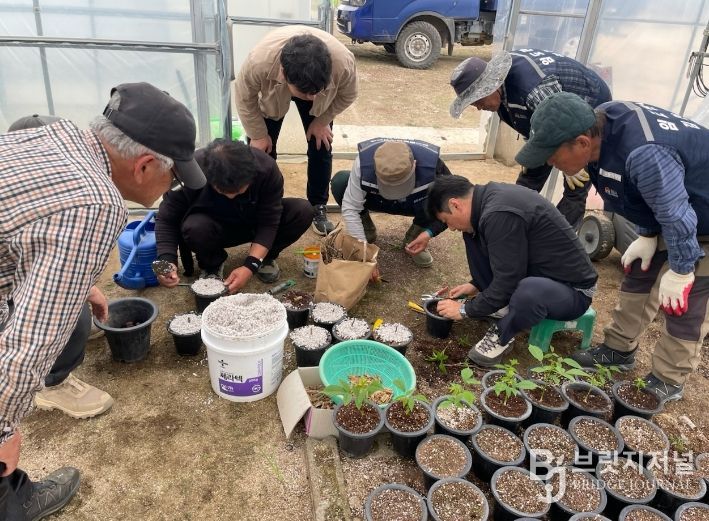 김천시, 호두나무 묘목 생산 기술 현장설명회 개최