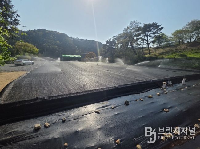 사계절 잔디 재배 기술로 농업 신소득 창출